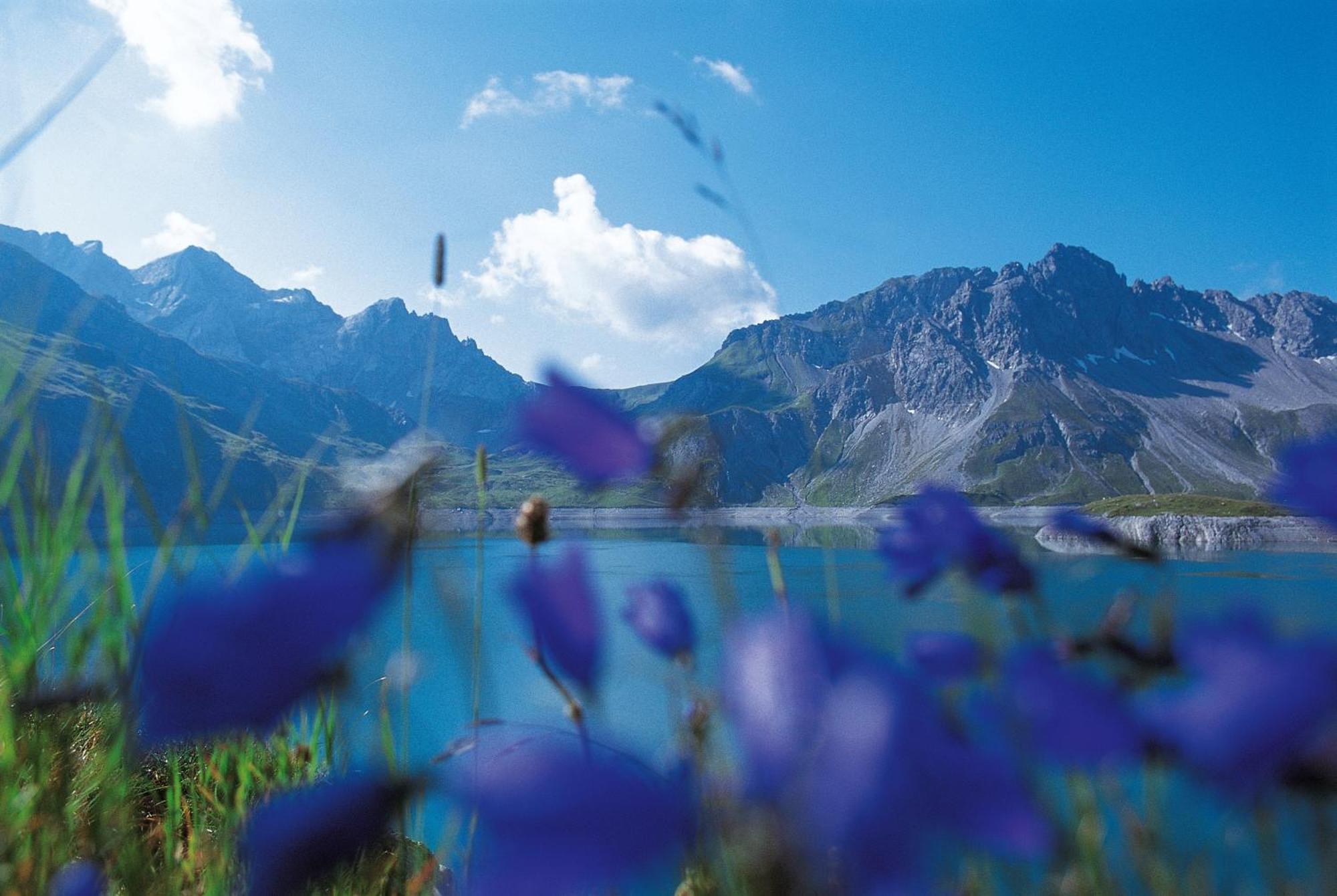 Gartenappartment De Luxe By A-appartments Brand (Vorarlberg)